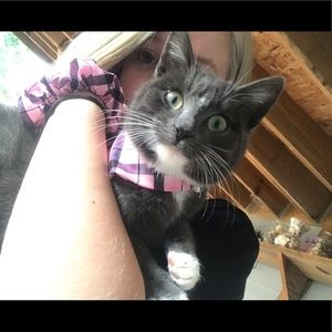 Meet your Posher, Paige